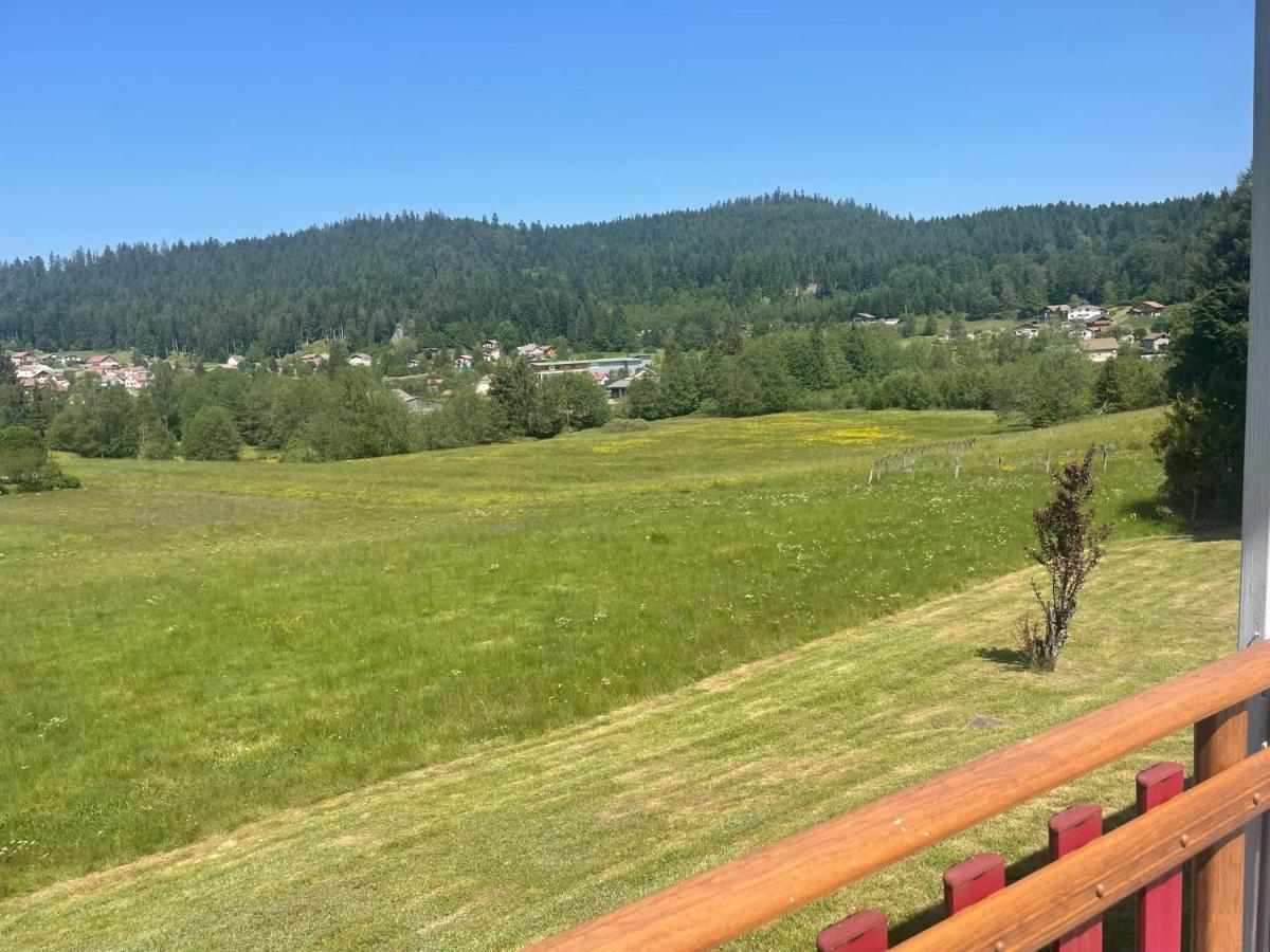 Chalet Le Cedre Bleu 10 P - 10 Min De Gerardmer เลอโธลี ภายนอก รูปภาพ