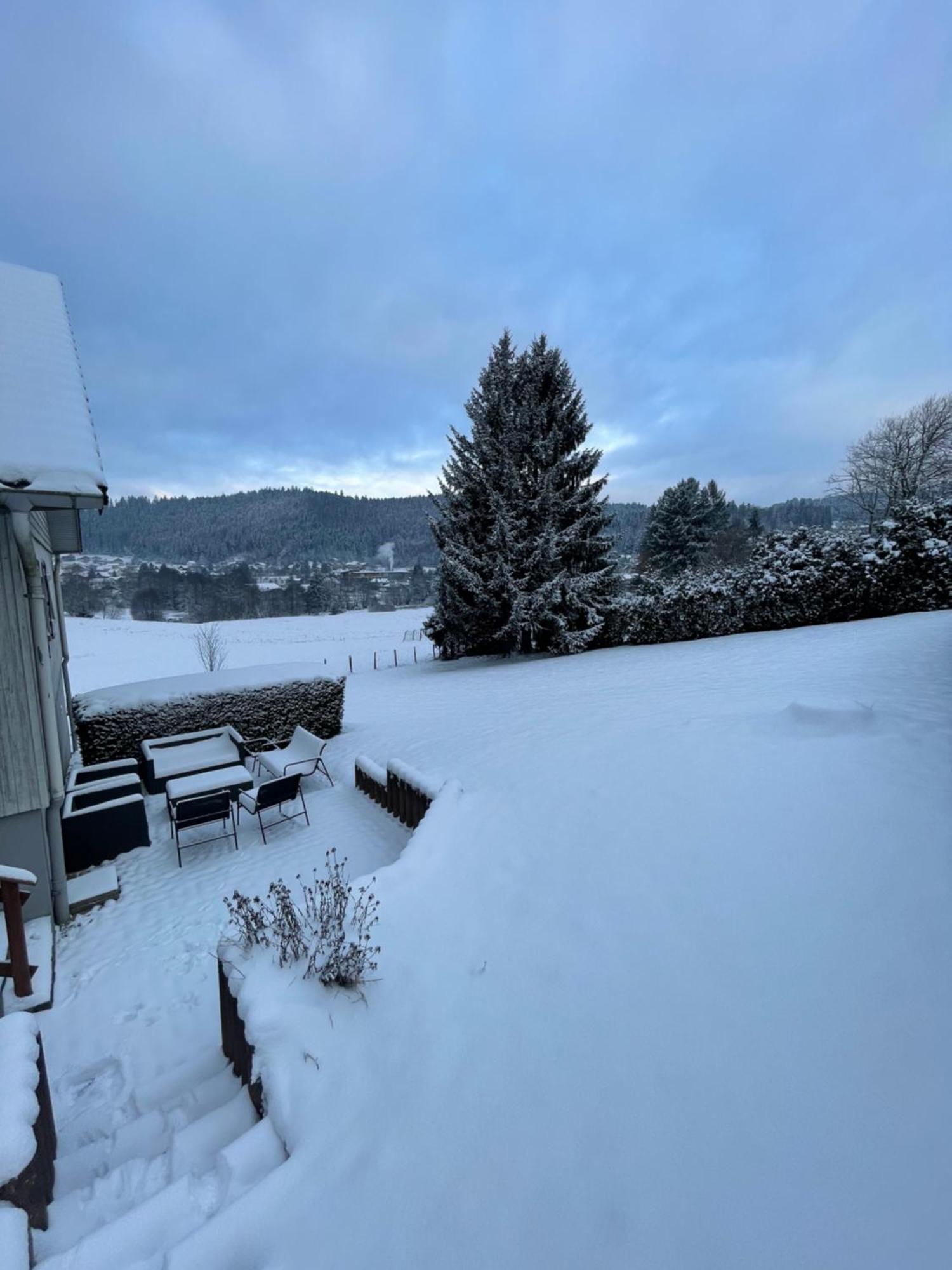 Chalet Le Cedre Bleu 10 P - 10 Min De Gerardmer เลอโธลี ภายนอก รูปภาพ